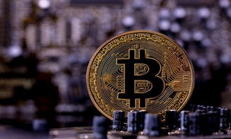 A miner inspecting a mining rig in a mining farm.