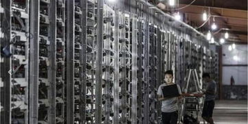 Efficient Mining Farm Setup