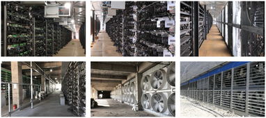 Cutting-edge Bitcoin mining rig operating efficiently in a modern setup