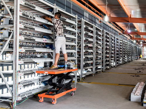 An overview of a mining rig setup in a South African hosting facility, illustrating the practical aspects of investing in affordable ASIC miners